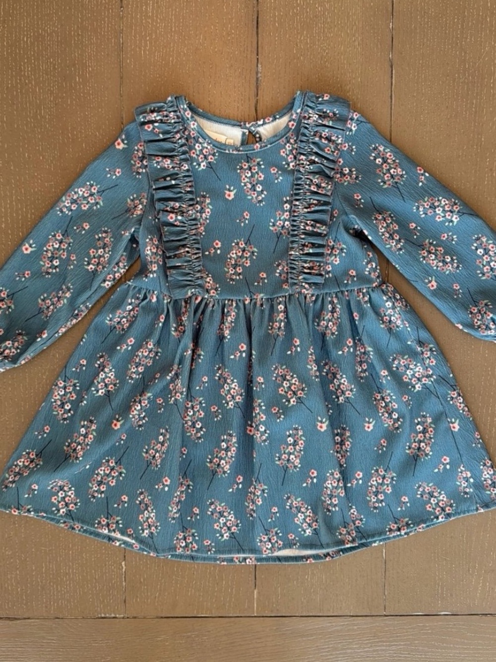 Bear Leader Girls’ Blue Long-Sleeve Floral Corduroy Dress • Size 3Y (3T)